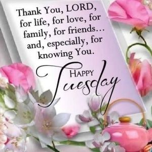 Have a Wonderful Day